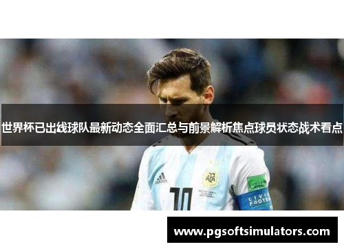 世界杯已出线球队最新动态全面汇总与前景解析焦点球员状态战术看点