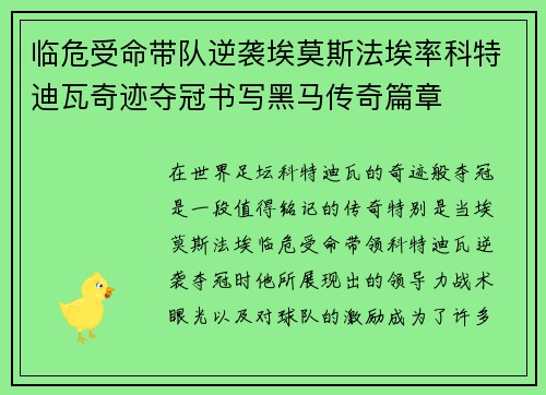临危受命带队逆袭埃莫斯法埃率科特迪瓦奇迹夺冠书写黑马传奇篇章