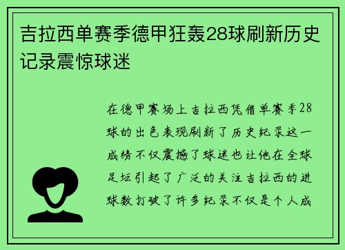 吉拉西单赛季德甲狂轰28球刷新历史记录震惊球迷 吉拉西单赛季德甲狂轰28球刷新历史记录震惊球迷
