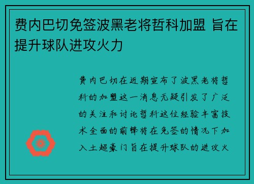 费内巴切免签波黑老将哲科加盟 旨在提升球队进攻火力