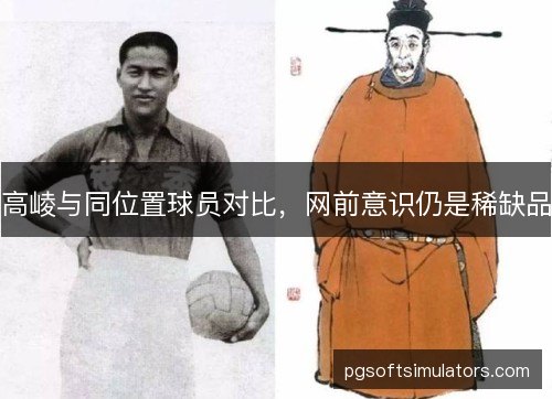 高崚与同位置球员对比,网前意识仍是稀缺品 高崚与同位置球员对比,网前意识仍是稀缺品